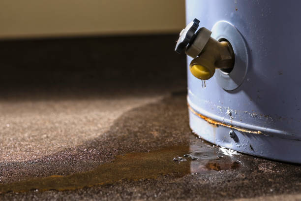 Best Local water damage restoration  in Huntingtown, MD