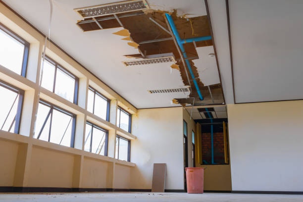 Best 24/7 water damage repair  in Huntingtown, MD