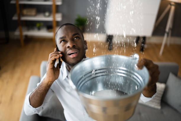 Best Water damage repair service  in Huntingtown, MD