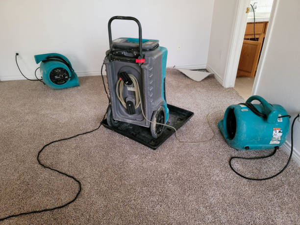 Best Carpet water damage restoration  in Huntingtown, MD