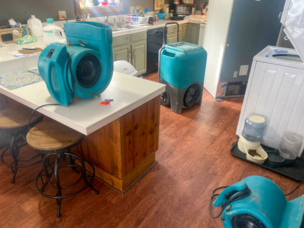 Best Sewage cleanup and water damage restoration  in Huntingtown, MD