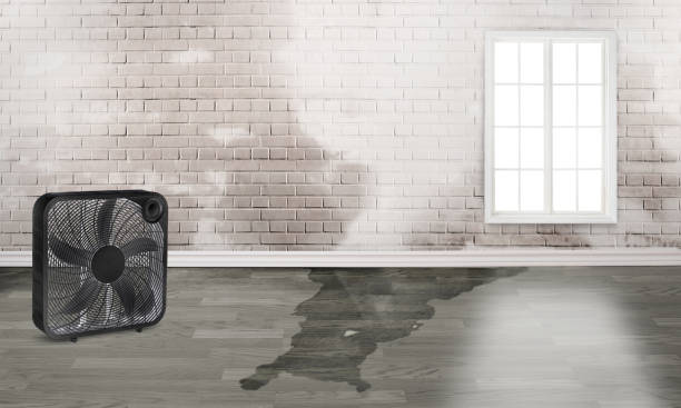 Best 24-hour water damage restoration  in Huntingtown, MD