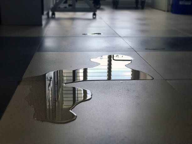 Best 24-hour water damage restoration  in Huntingtown, MD